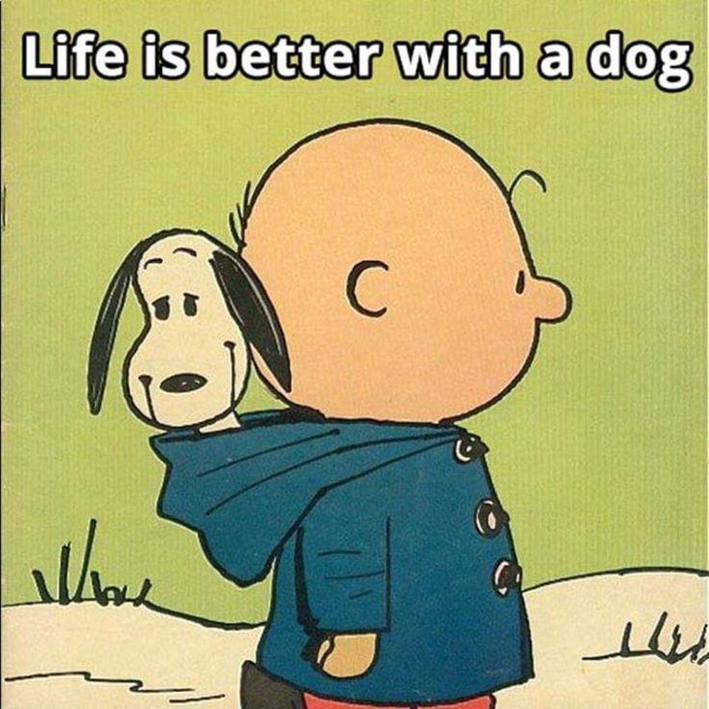 Meet your Posher, Dan